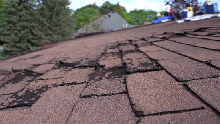 Best Slate Roofing  in Evanston, WY